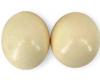 2pc Hollowed Ostrich Eggs