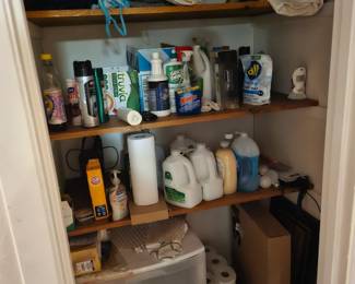 Cleaning and bathroom products