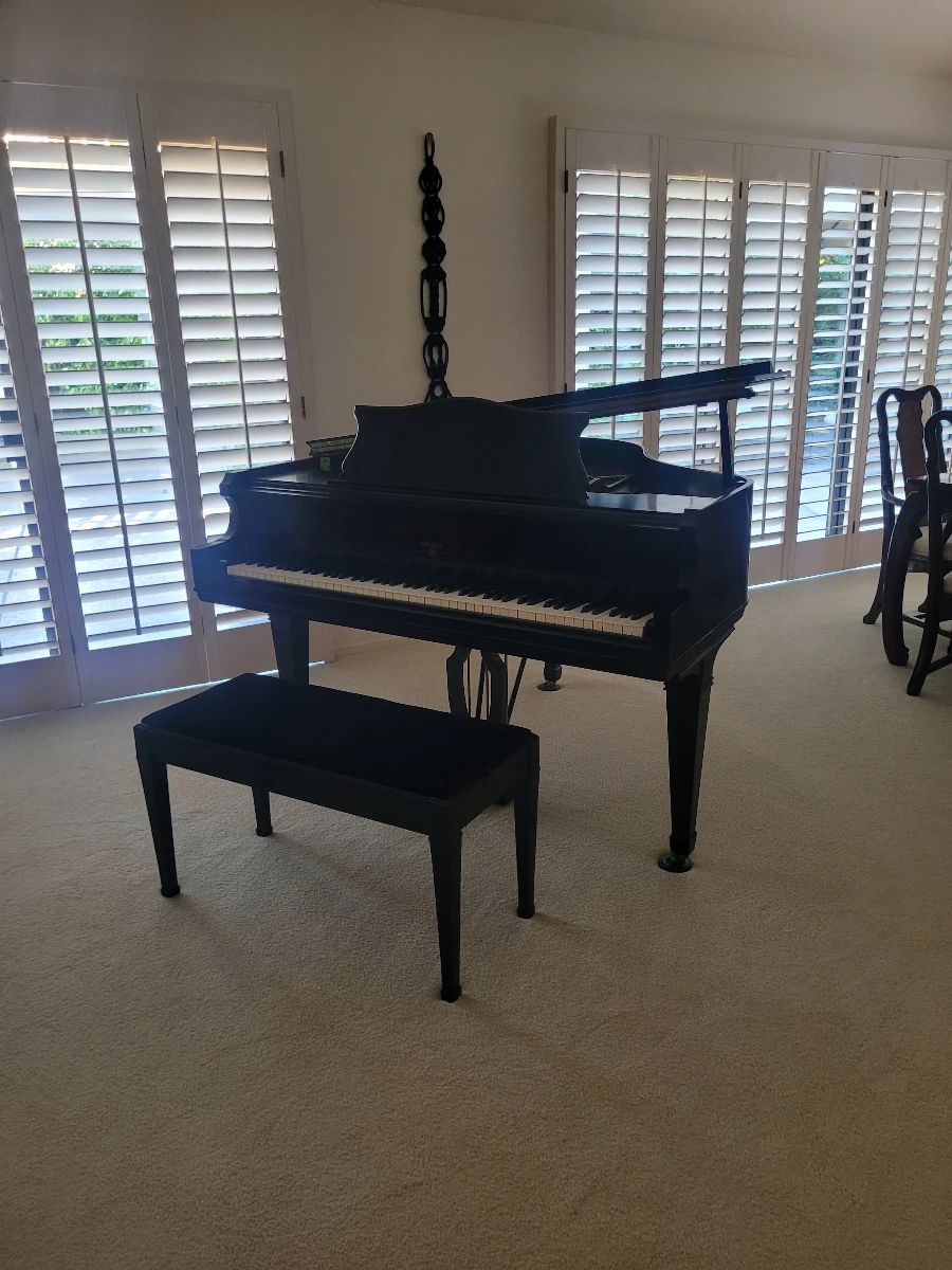 Weber Baby Grand 