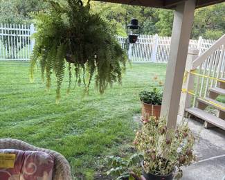 Plants