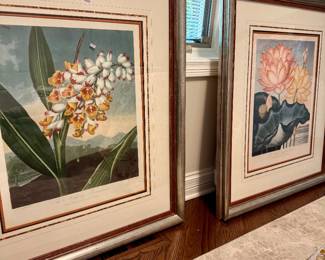 Socher Marin prints