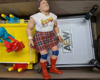 Wrestling / Robot Fight Lot