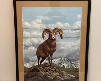 Ray Harm Signed Bighorn Sheep t Print No. 503 GBRG