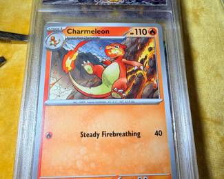 Big collection of Pokémon cards