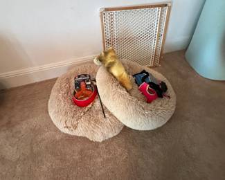 Pet beds and misc items