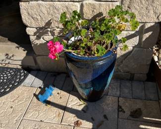FLOWER POT