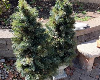 LIGHTED OUTDOOR XMAS TREES IN POTS
