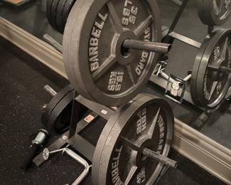 WEIGHTS AND BARS