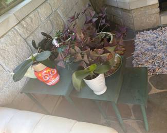 PLANTS AND TABLES
