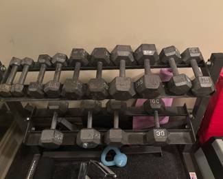 FREE WEIGHTS AND STAND