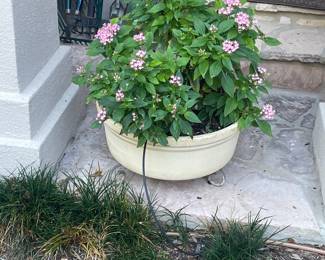 lovely planters and garden items 