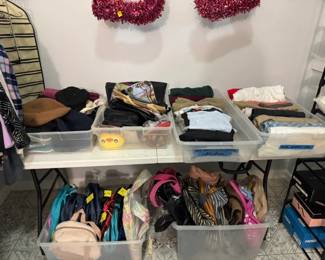 CLOTHES AND HANDBAGS AND TOTES