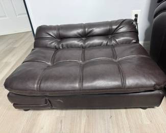 Matching Dog COUCH