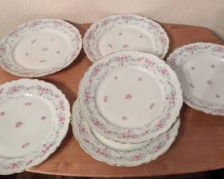 Set of 6 Antique Carl Tielsch Altwasser German Porcelain Plates Floral Garland Design, c. 1875-1900