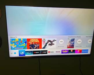 Samsung Flat Screen TV 55in
