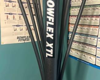 Bowflex XTL Home Gym