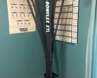 Bowflex XTL Home Gym