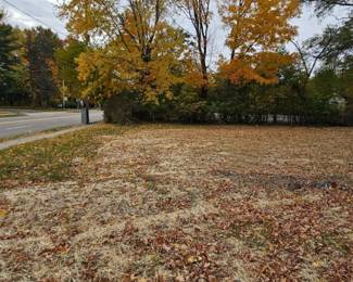 Buildable Lot - SFH / Commercial / Duplex
