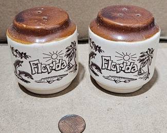 Florida Salt and Pepper Shakers