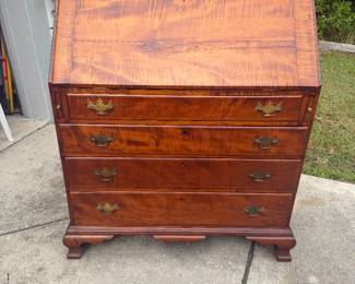 Great Early Tiger Maple Secretary