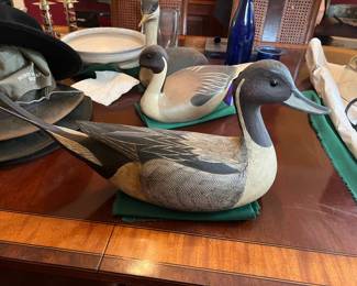 DUCK DECOY