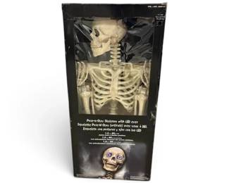 60 Halloween posenstay Skeleton With LED Color Changing Eyes