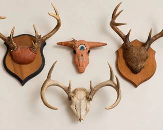 Collection of Deer Antler Taxidermy Mounts and Decorative Skulls