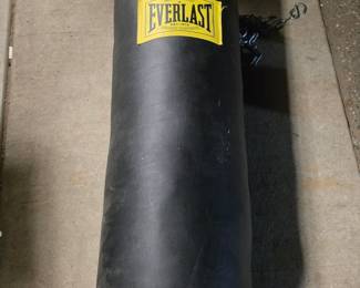 Everlast Punching Bag with Chain