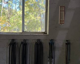 Assortment of Rubber Tie-Down Straps with Metal S-Hooks - Garage & Utility Lot - Lake Odessa Off-Site