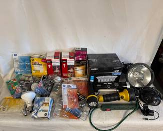 Large Collection of Various Light Bulbs