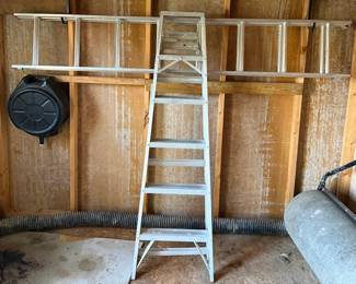 All American Ladder 16 Ft. Aluminum Extension Ladder & 6 Ft. Folding Step Ladder - Lake Odessa Off-Site