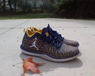 University of Michigan Jordan Trainers Size 11 Mens - Estate Sales Warehouse (GR)