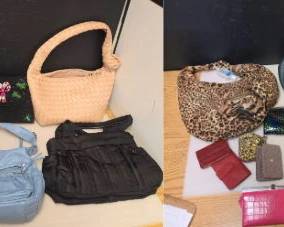 Large Variety of Purses and Handbags