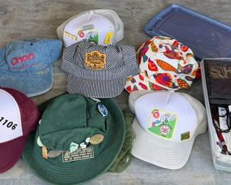 Assorted Advertising & Travel Hats -Onan, Durango Railroad, Michigan Camping & Rally Pins - Howard City Off-Site