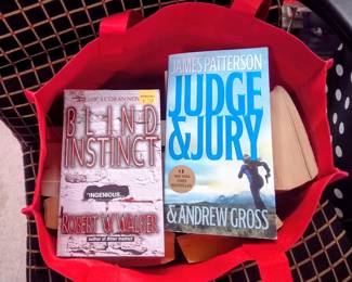 Bag of Novels Multiple Genres
