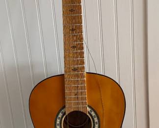 Vintage string guitar