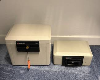 Sentry 1170 & 1100 Safes