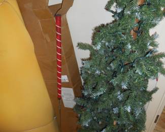 Golf Clubs & Tree (Yes, trees like to eat golf balls)