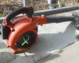 Gas Blower