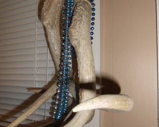 Deer Antlers