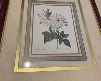 #67B - $46 - P.J. Redouti pina Rouser De Philippe Noisette framed art white flower