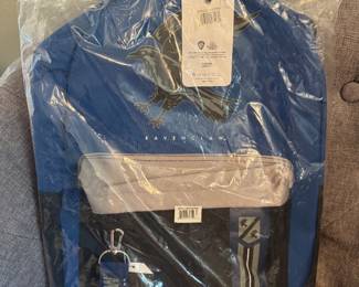 #149 - $20 - Harry Potter Bioworld Ravenclaw back pack