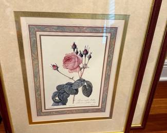 #67A - $46 - P.J. Redouti pina Rouser De Philippe Noisette framed art pink flower