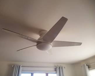 Lighted ceiling fan