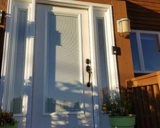 Entry door with side lights