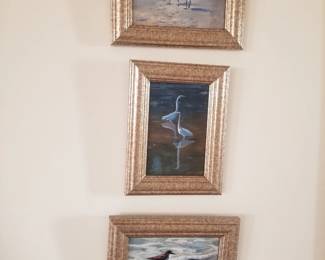 Shorebird paintings