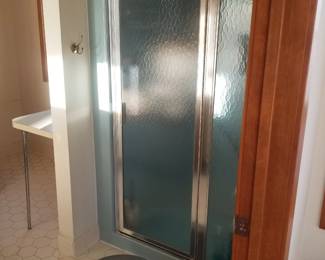 Shower door