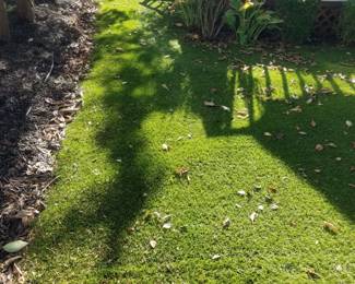 Astroturf