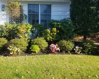 Shrubbery