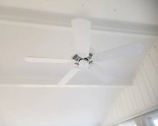 Ceiling fan